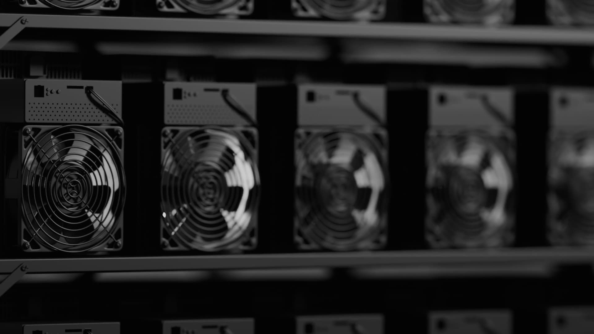 Install Kryptex program for mining: how to set up