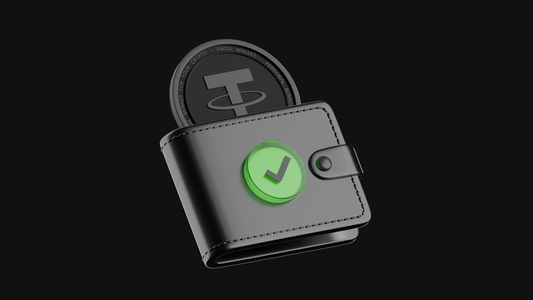 Which Wallets Support USDT?